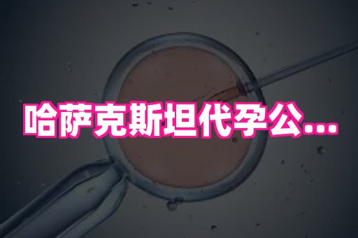 福建助孕网 2